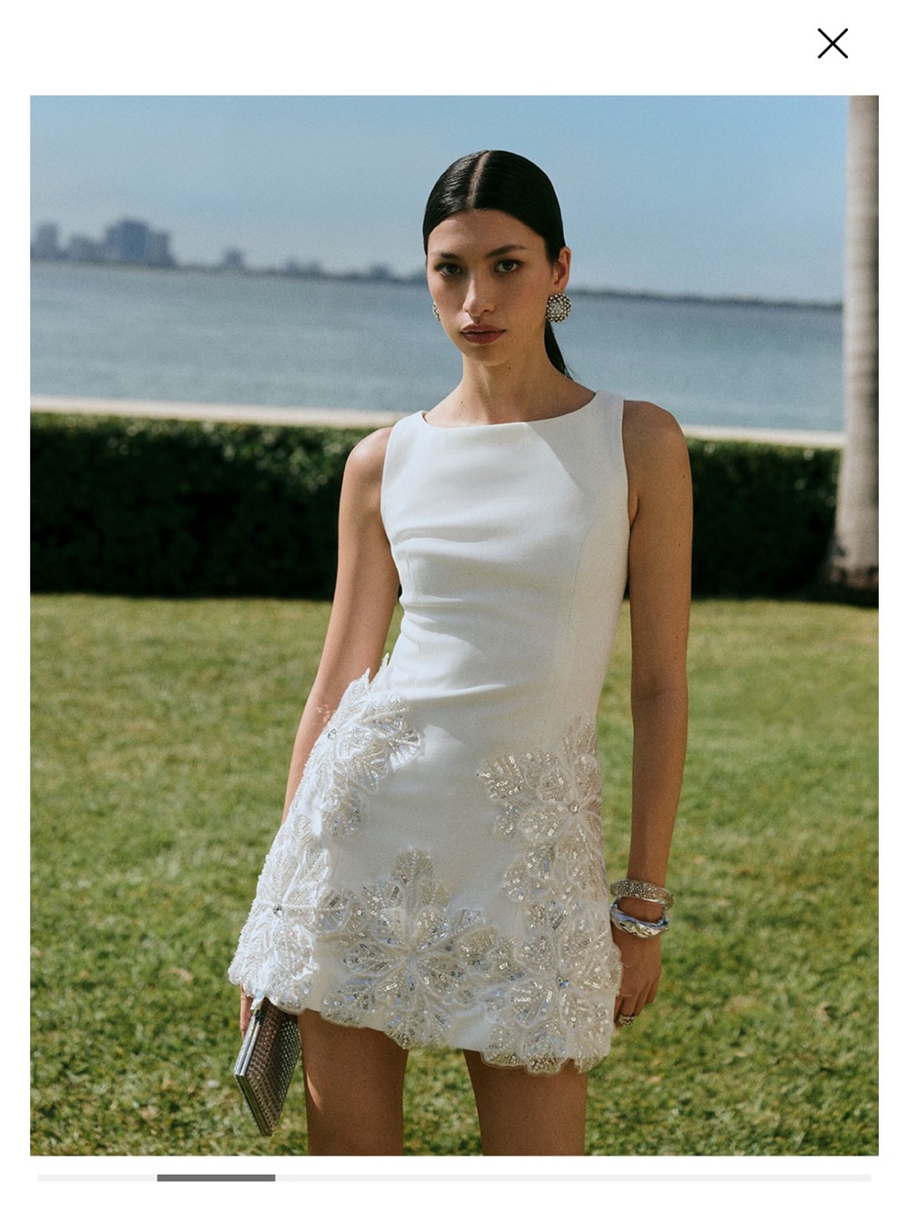 Elliatt Skye Floral Appliqué Mini Dress